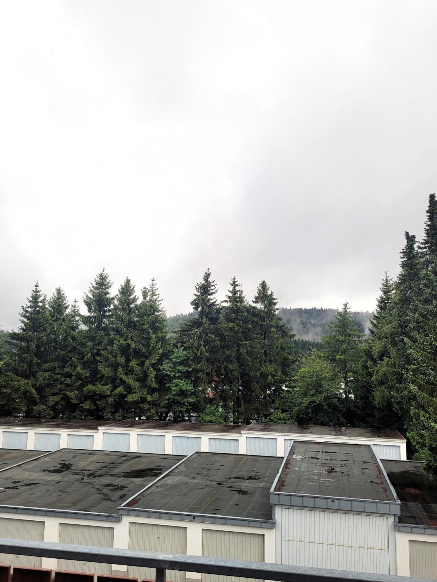 Winterberg Appartement 21028 Экстерьер фото